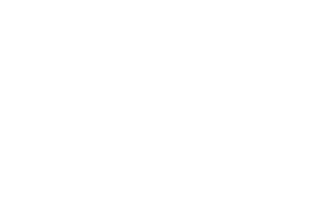 Walt Disney Company Brasil
