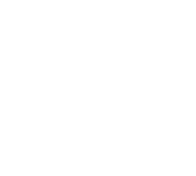 IEE USP